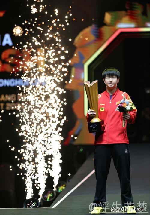 中国选手表现出色 WTT总决赛拉开帷幕