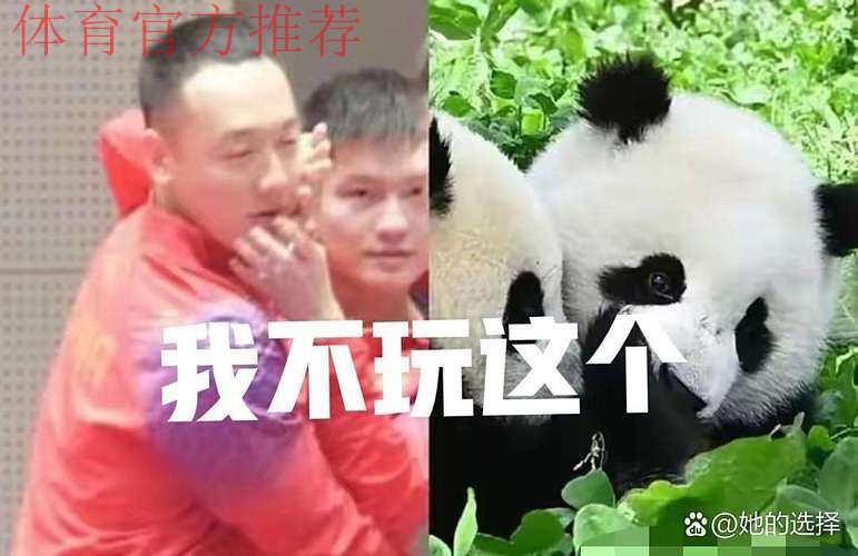 《熊猫说球》第四集:球员 《熊猫说球》第四集:球员